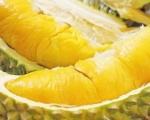 Kỹ thuật bón phân cho cây sầu riêng đúng cách