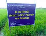 Dự án ​​VnSAT thay đổi diện mạo nông nghiệp, nông thôn Tiền Giang