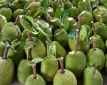 Giá mít Thái hôm nay 28/8: Giá mít Tiền Giang 61.000 đồng/kg, mít xơ đen nhiều, cách hạn chế ra sao?