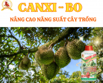 CANXI - BO , NÂNG CAO NĂNG SUẤT CÂY TRỒNG