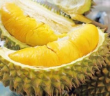 Giá sầu riêng ngày 12/11: Giá sầu riêng Thái cao chót vót, sầu riêng Ri6 cũng ngất ngưởng