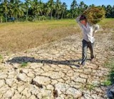 Tích nước cho mùa khô